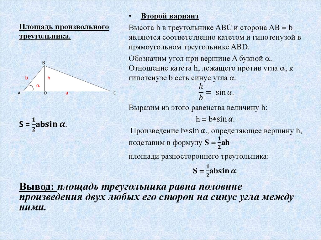 Произвольный треугольник имеет два