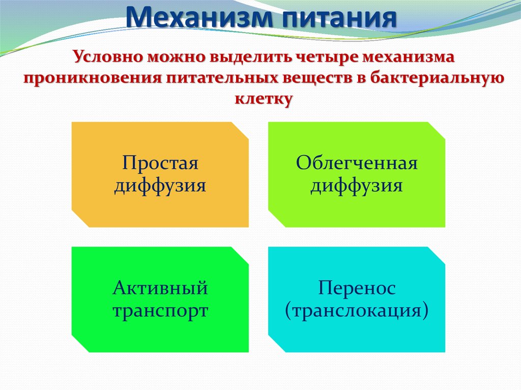 Транспорт питательных веществ бактерий. Типы и механизмы питания бактерий. Типы и механизм питания микроорганизмов. Механизмы поступления питательных веществ в бактериальную клетку. Механизмы переноса питательных веществ в бактериальную клетку.