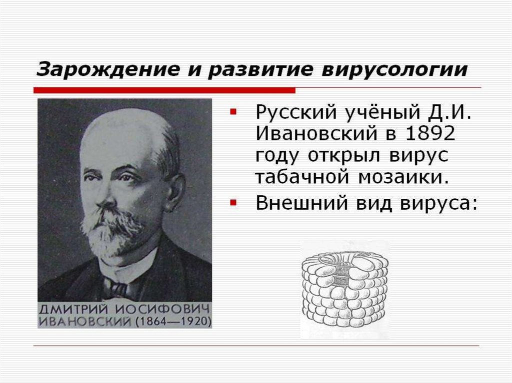 Русский ученый д.и Ивановский открыл вирус?. 1892 – Д.Ивановский открыл вирусы;. История становления и развития вирусологии. Д.И. Ивановский. Ивановский открытие вирусологии.