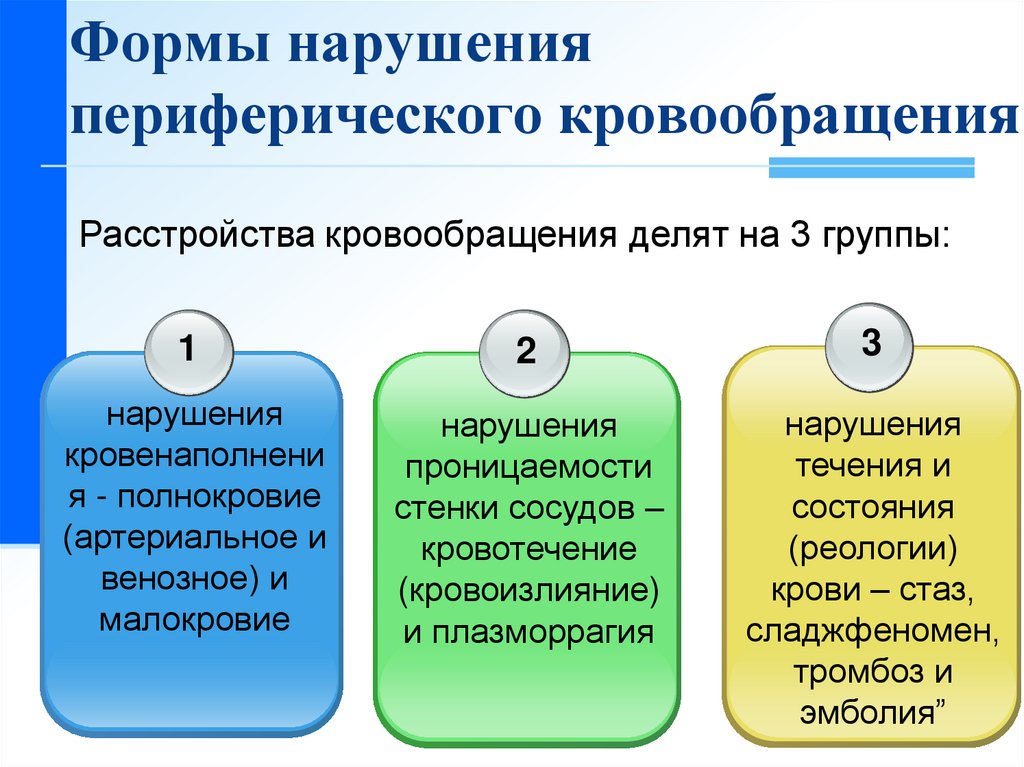 2-04- 