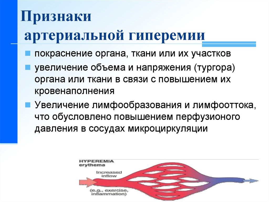 Признаки венозной гиперемии рисунок