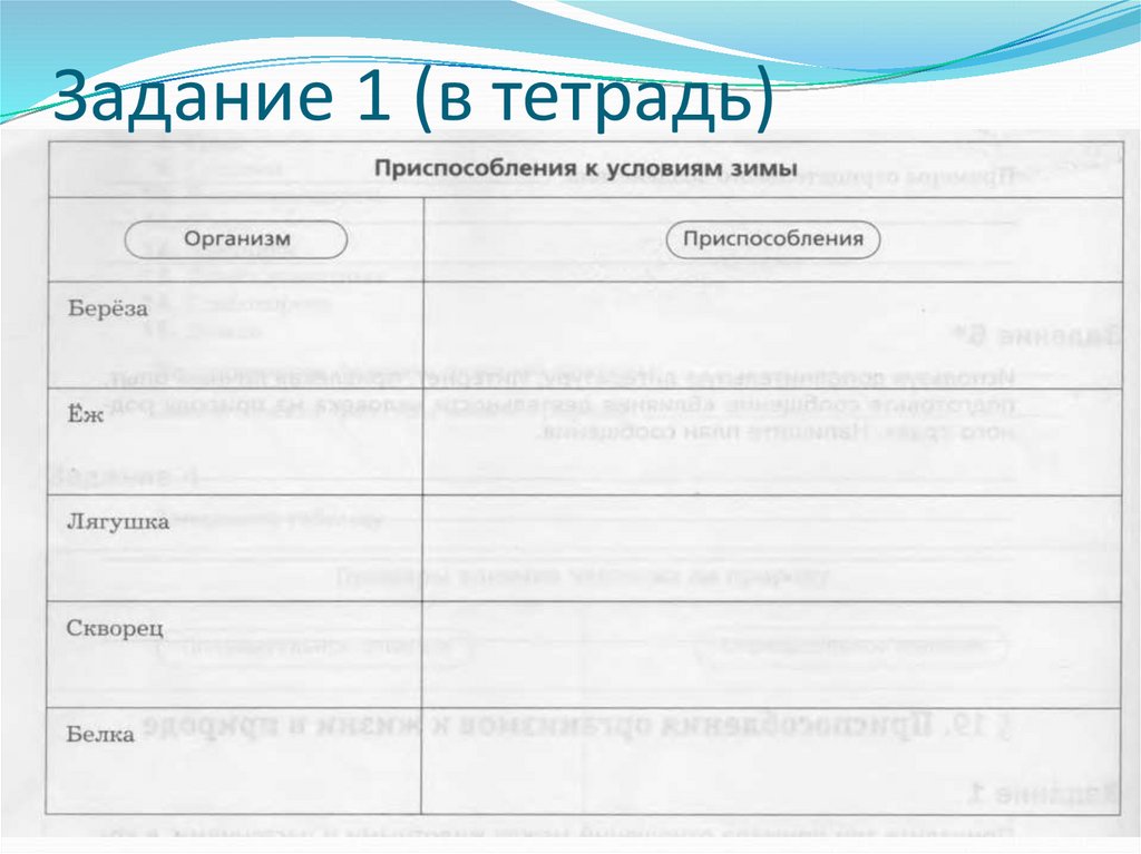 Какие информационные процессы показаны на рисунке напиши в тетради