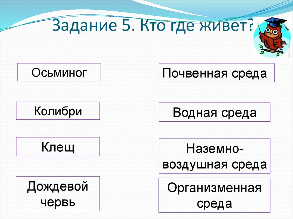 Приспособления организмов к жизни в природе 5 класс фгос пономарева презентация