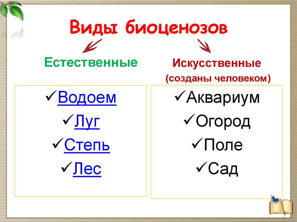 Естественные и искусственные биоценозы презентация