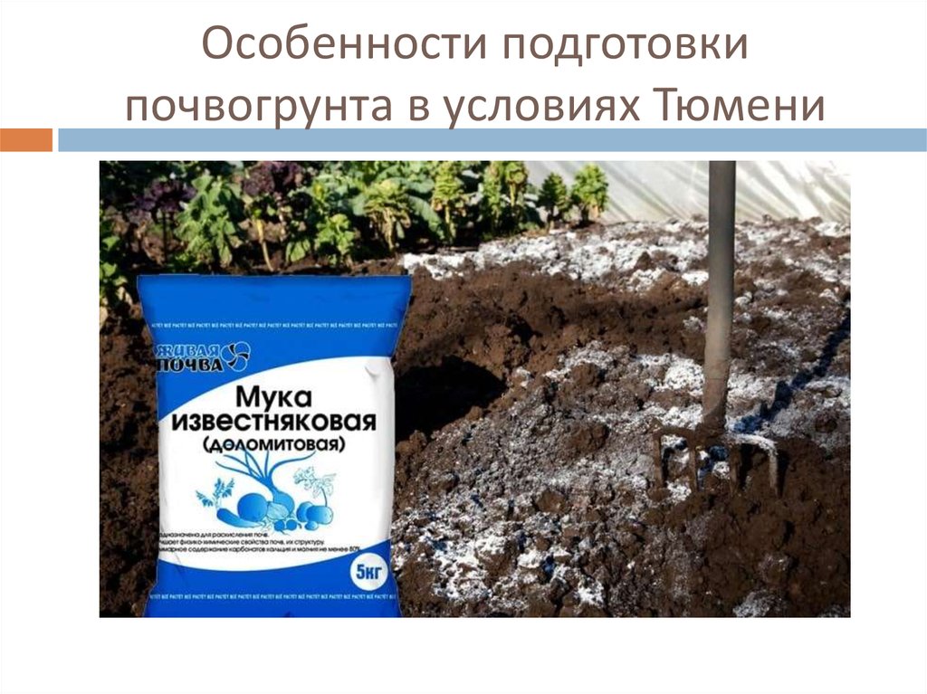 Особенности подготовки почвогрунта в условиях Тюмени