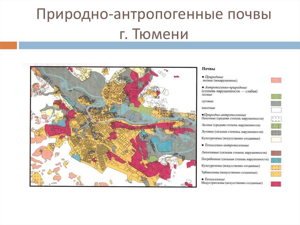 Карта почв тюмени