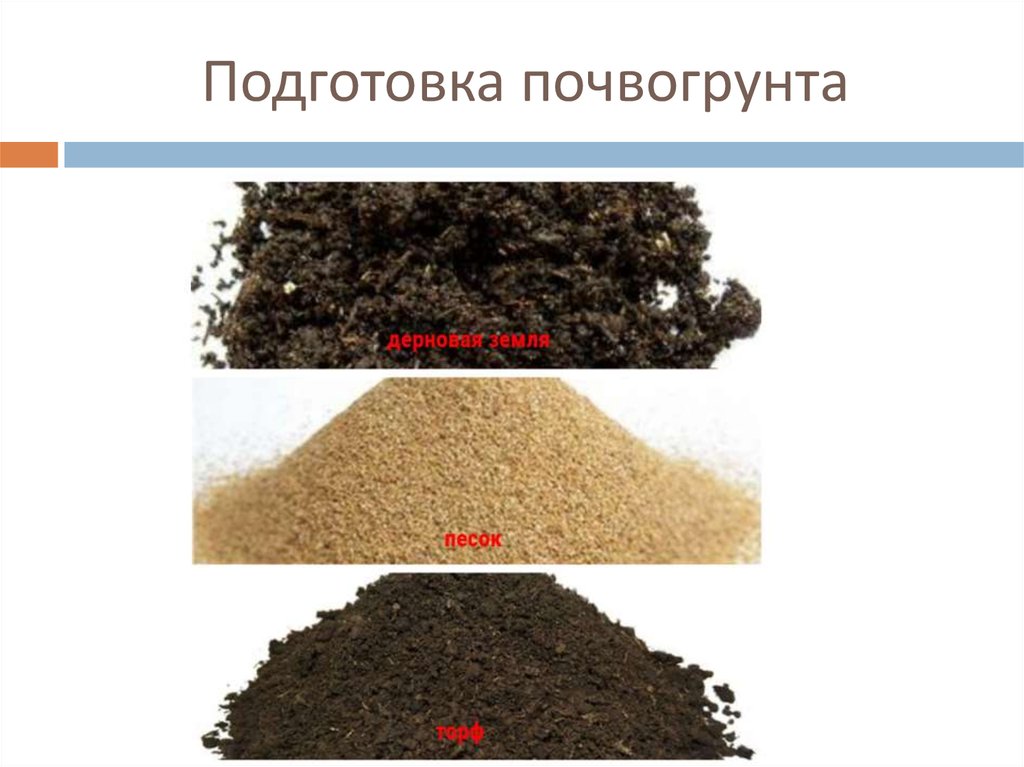 Подготовка почвогрунта