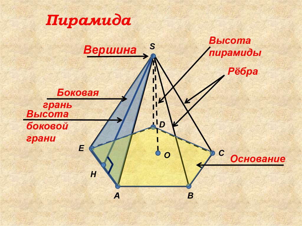 Сколько ребер имеет пирамида. Грани и ребра пирамиды. Пирамида ребро вершины боковая грань основания. Ребра пирамиды. Грани пирамиды.