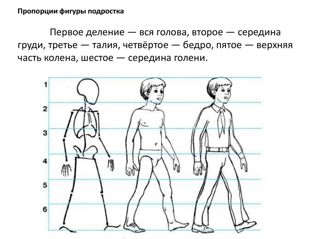 Рисунок человека 3 4. Человек рисунок. Изображение фигуры человека. Пропорции фигуры подростка. Фигура человека для рисования для детей.