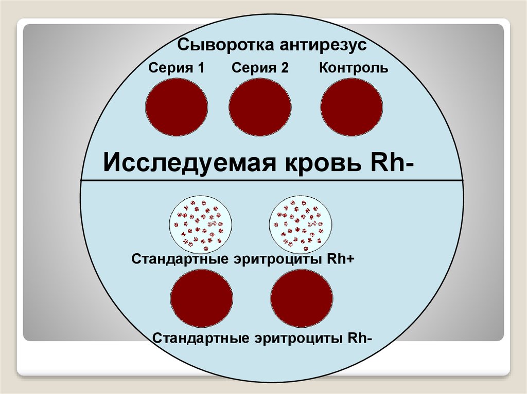 Реология крови презентация