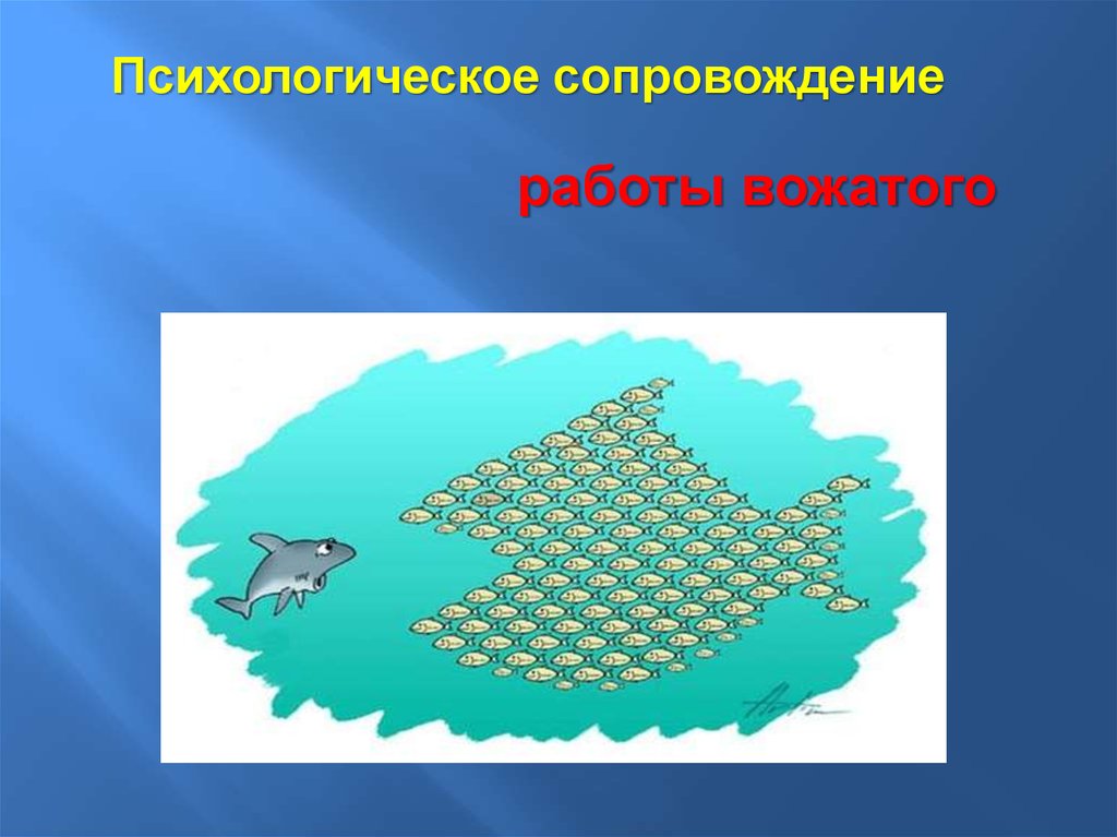 Психологическое сопровождение работы вожатого - презентация онлайн