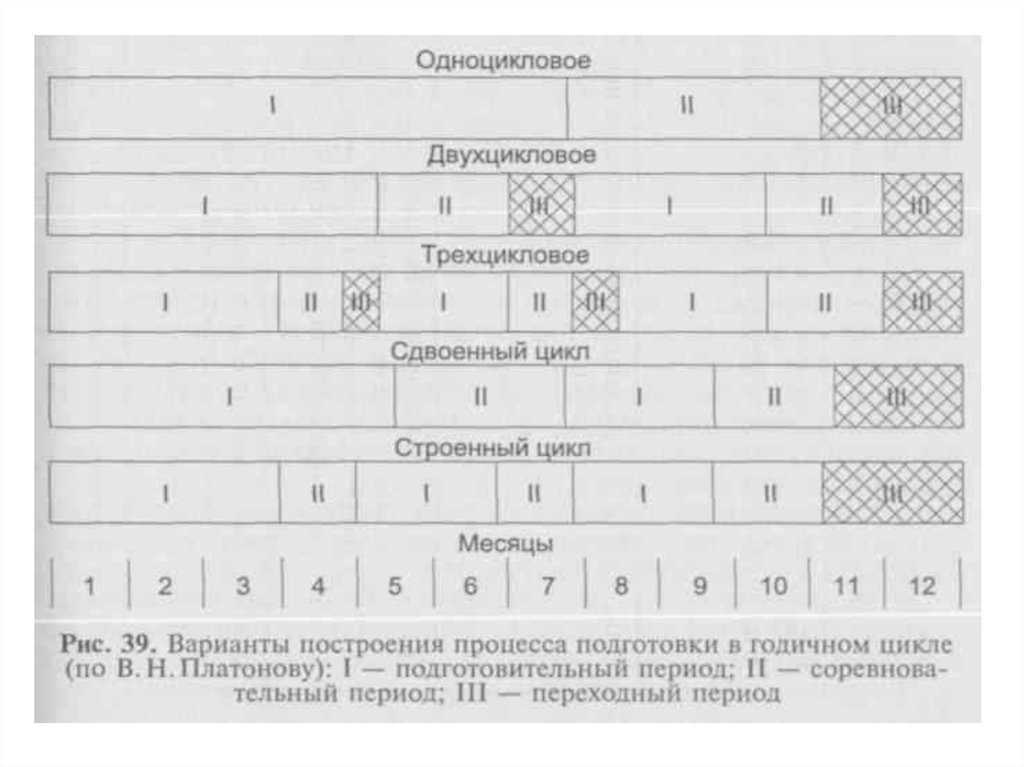 Подготовка вариант. Построения процесса подготовки в годичном цикле. Периоды спортивной подготовки в годичном цикле. Структура годичного цикла подготовки спортсмена. Общая схема построения тренировки годичного цикла.