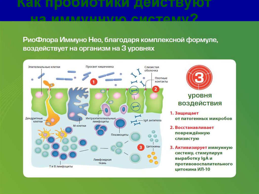 Производство пробиотиков презентация