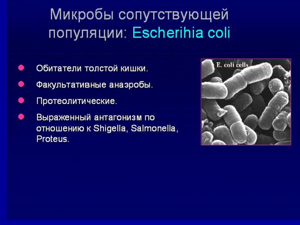 Дисбиоз кишечника у женщин симптомы и лечение