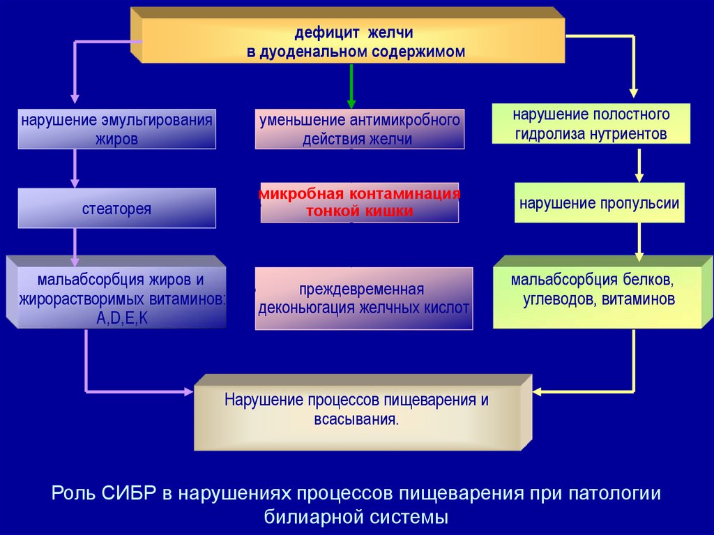 При недостатке желчи нарушается