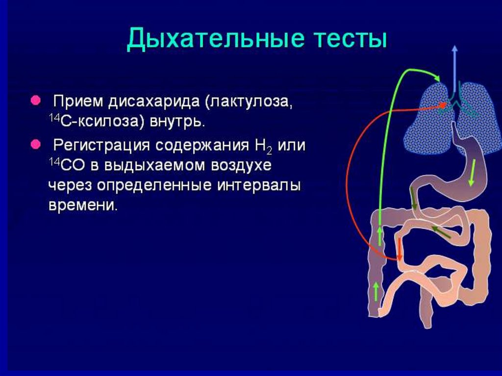 Дыхательный тест отзывы