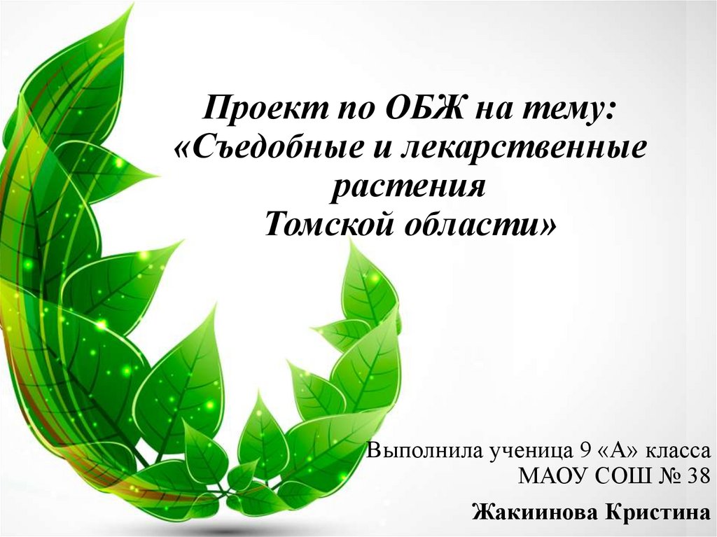 Проект по ОБЖ на тему: «Съедобные и лекарственные растения Томской области»