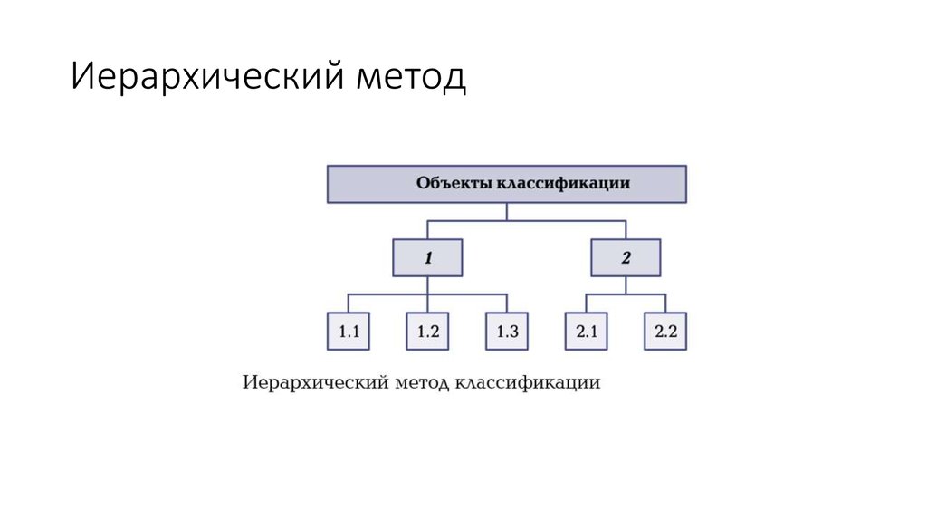 Иерархическая схема классификации мяса