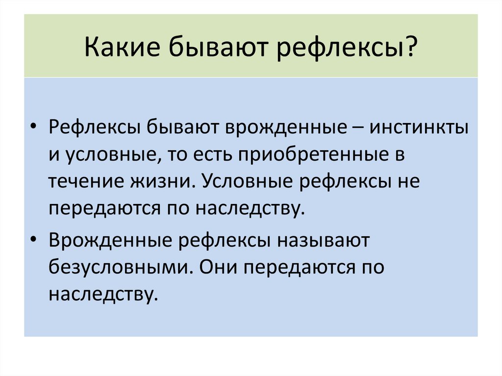 Врожденные рефлексы презентация