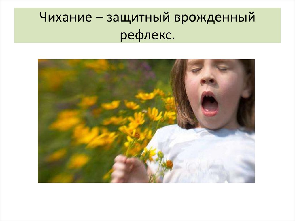 Рефлексы на фотографии это