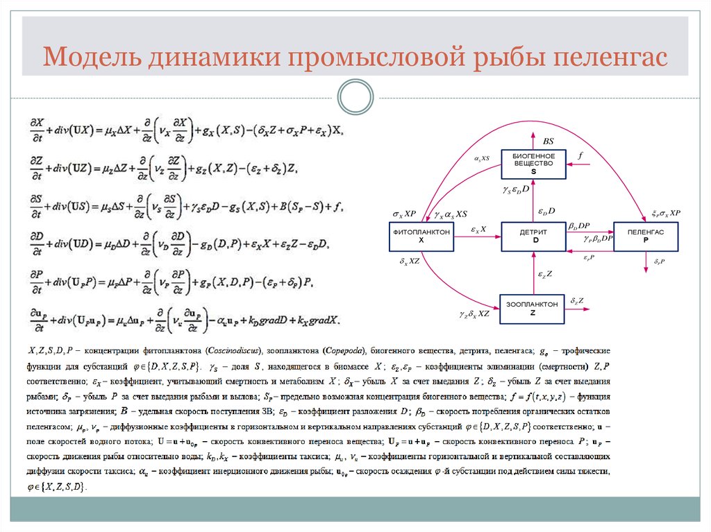 Функция источника