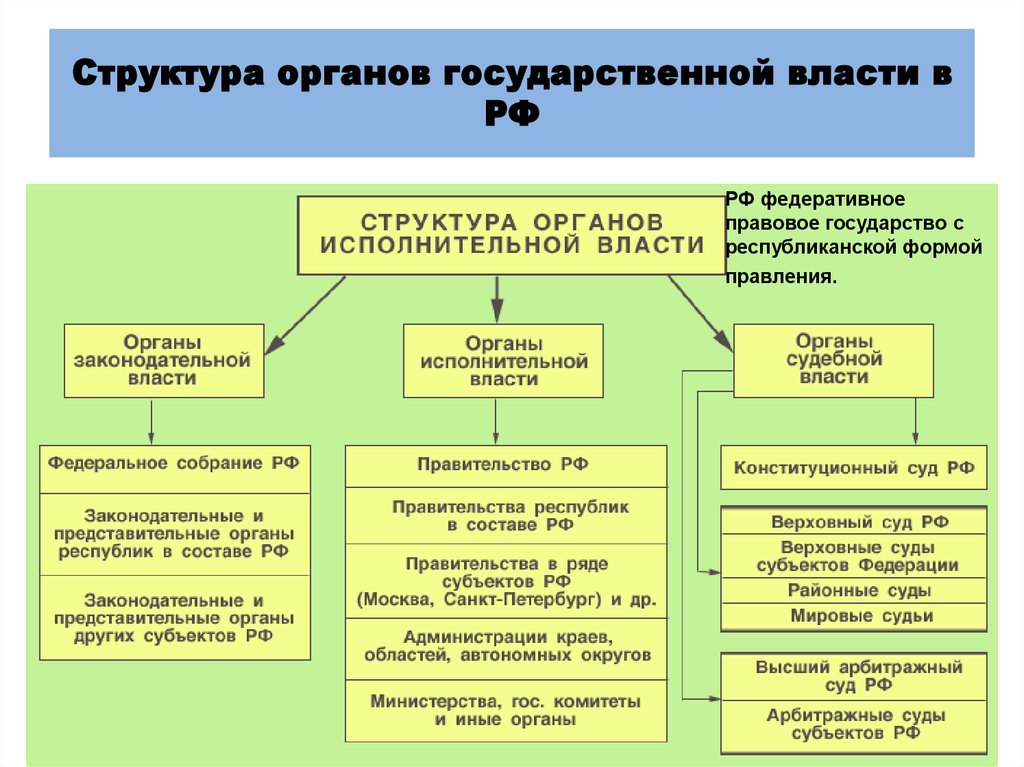 Структура органов государственной власти в РФ