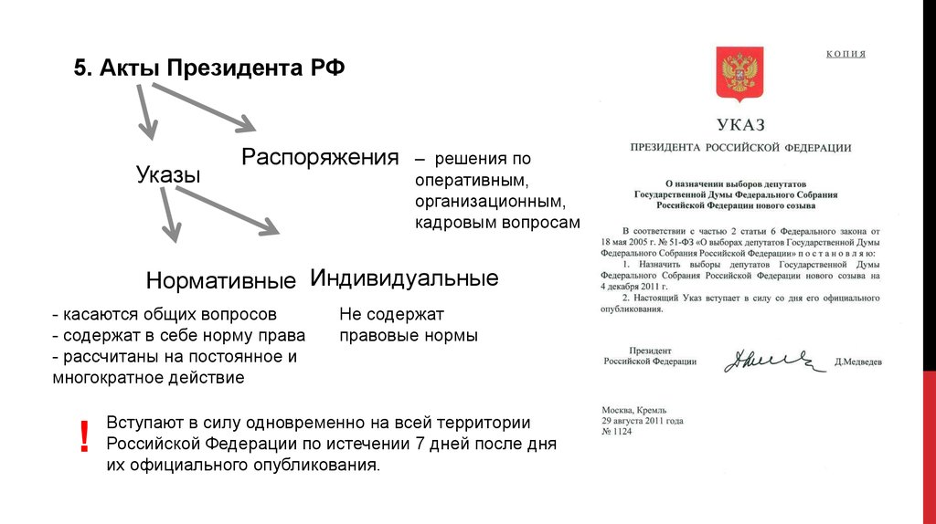 Указ президента рф образец