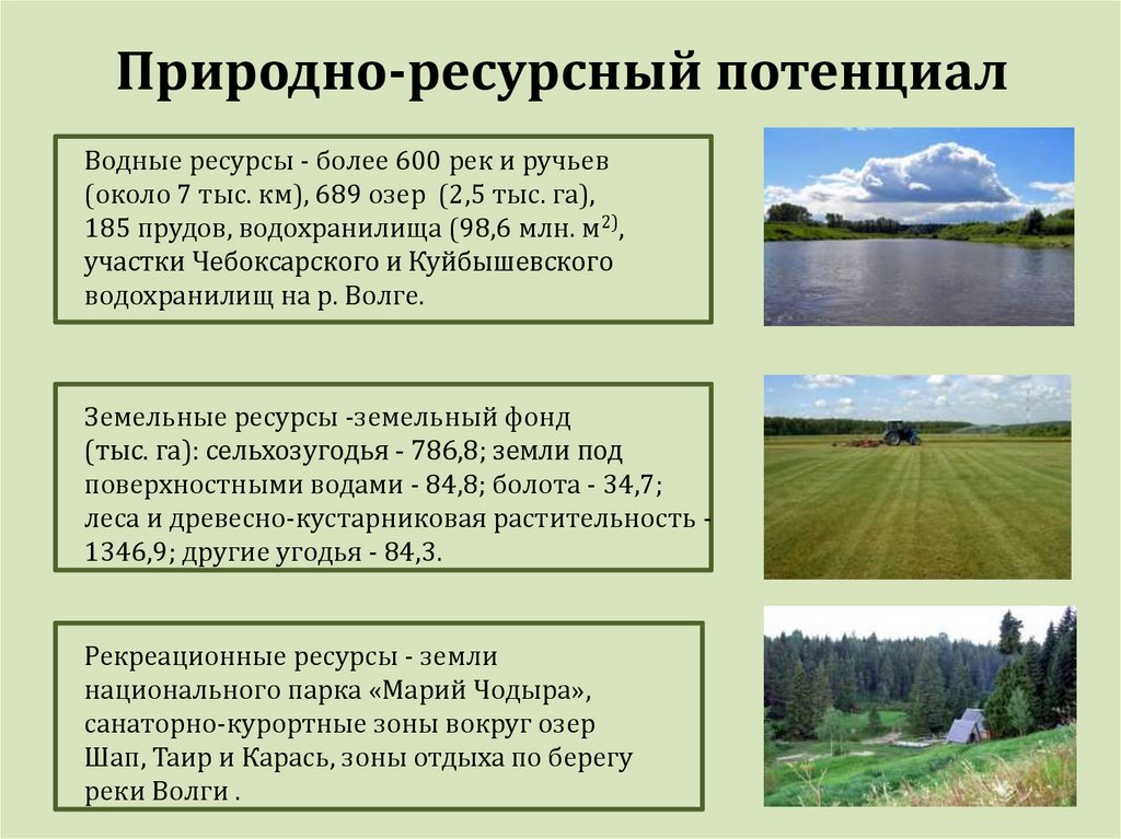 Место россии по природным ресурсам