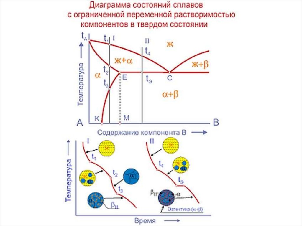 График состояния тела. Виды диаграмм сплавов. Диаграмма состояния 3 типа. Диаграммы состояний презентация. 3.4 Диаграмма состояний.