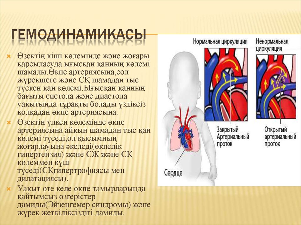 Жүрек автоматиясының механизмі презентация