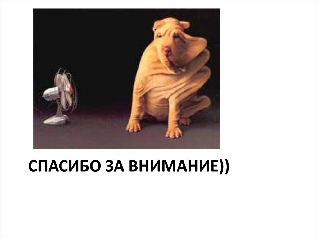 Спасибо за внимание))