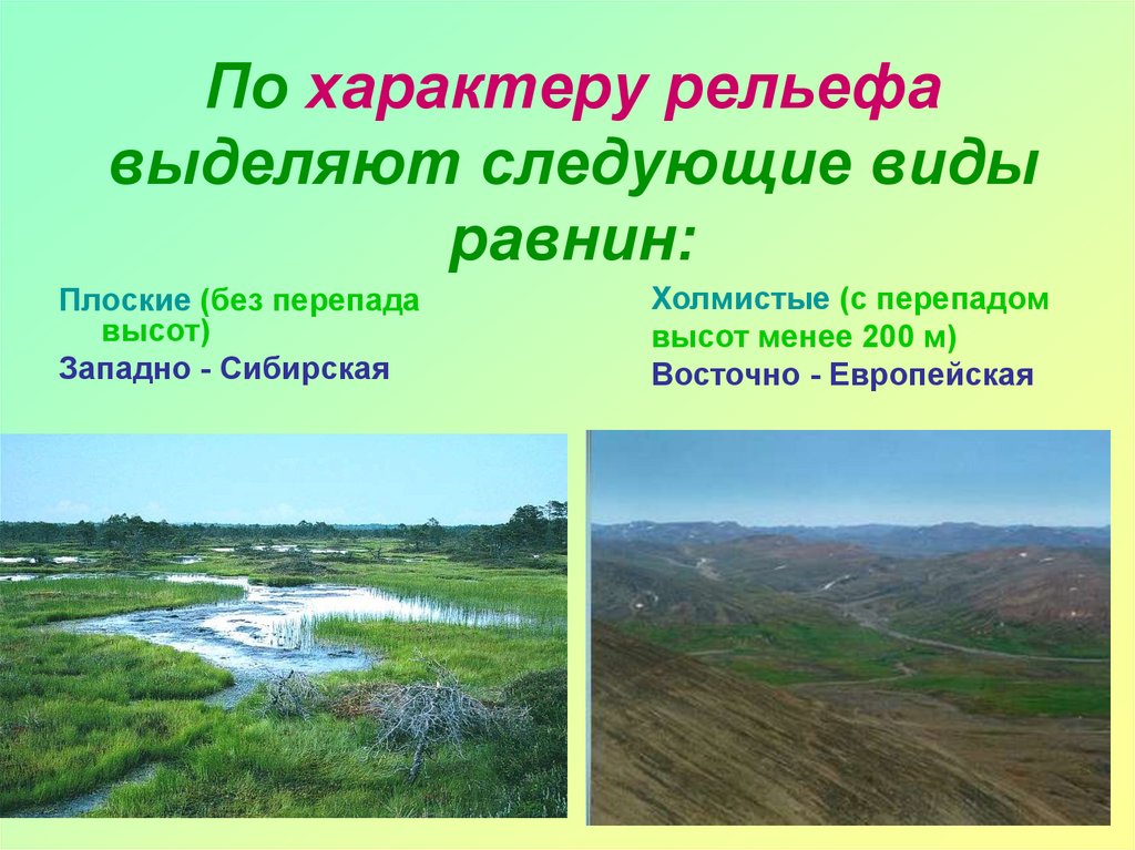 Примеры равнин в россии. Виды равнин. Рельеф равнины. Что такое характер рельефа равнины. Равнинный Тип рельефа.