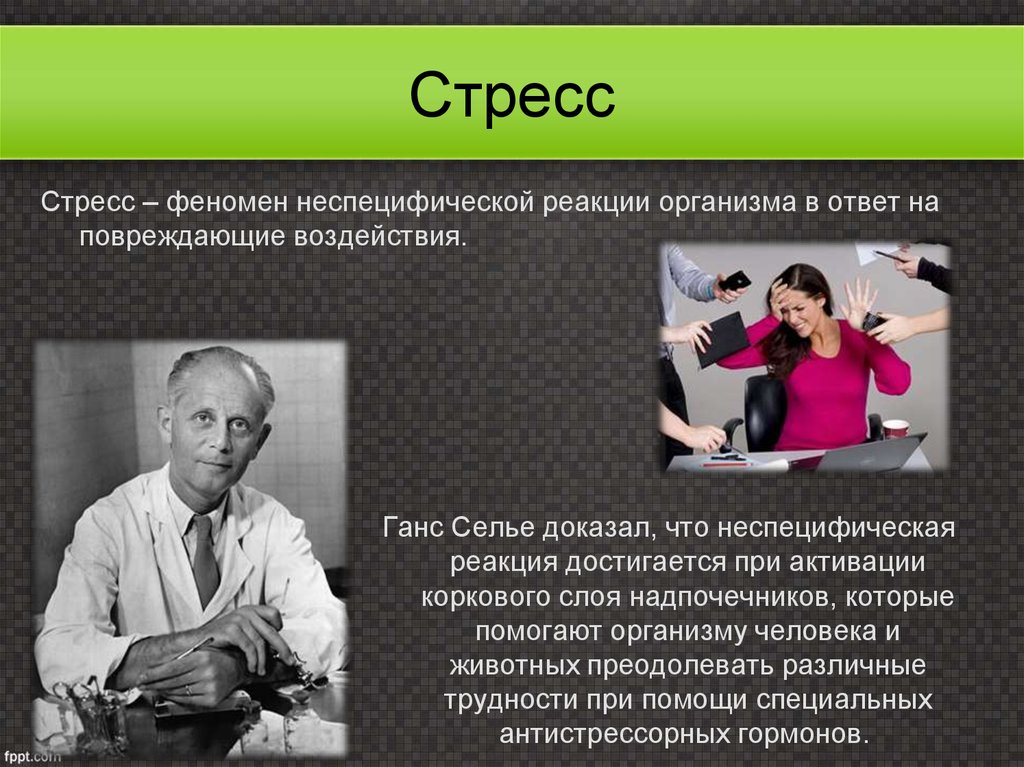 Теория стресса