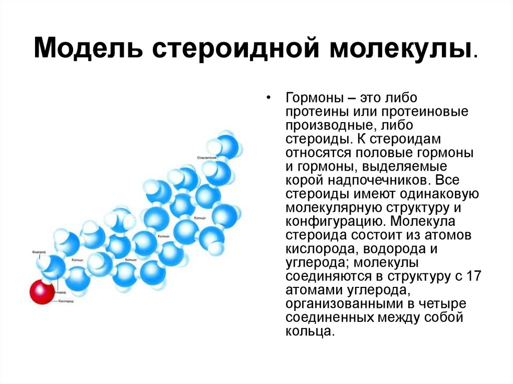 Информация о молекулах