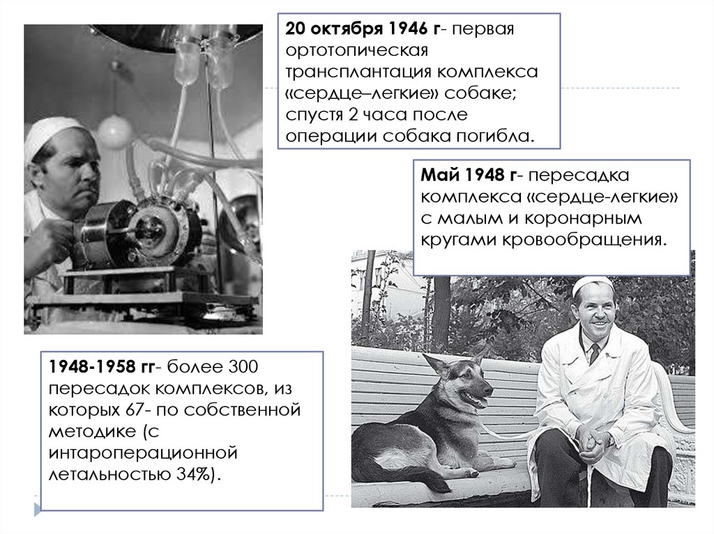 Трансплантация легких презентация