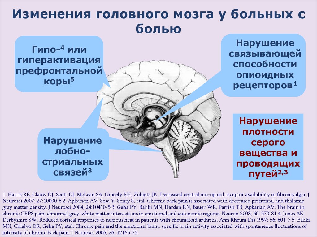 Функции серого вещества головного мозга
