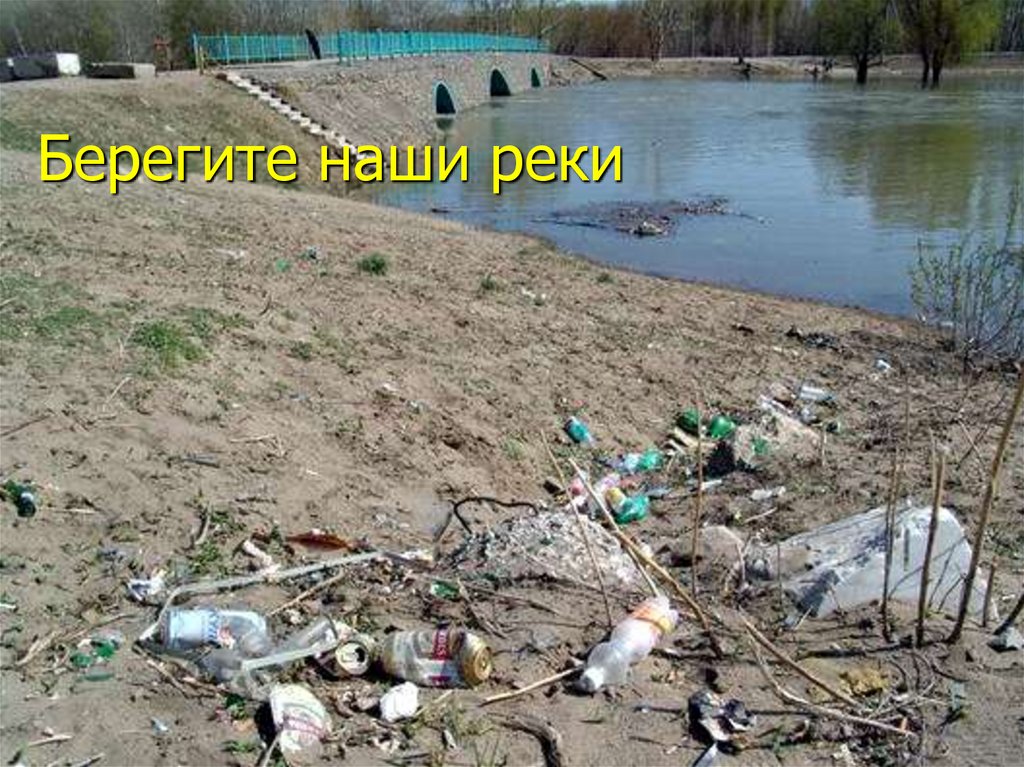 Насколько грязно. Загрязненный берег реки. Загрязнение берега реки. Загрязнение Москвы реки.