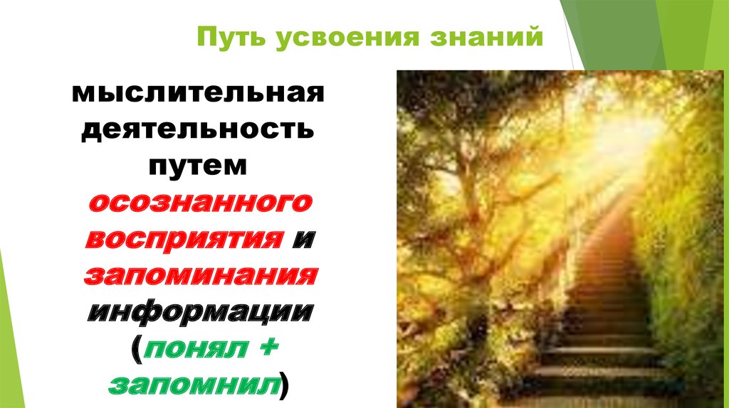 Знания усвоены. Два пути овладения знаниями. Пути усвоения литературной нормы. Правильный путь такой усвой. 6. Каковы пути усвоения литературной нормы?.