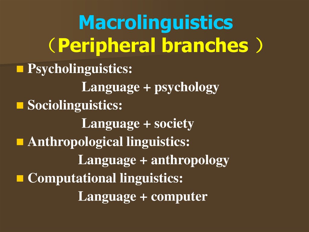 Macrolinguistics （Peripheral branches ）