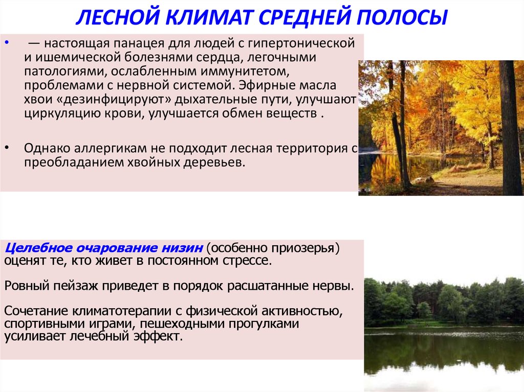 Природа средней полосы россии текст