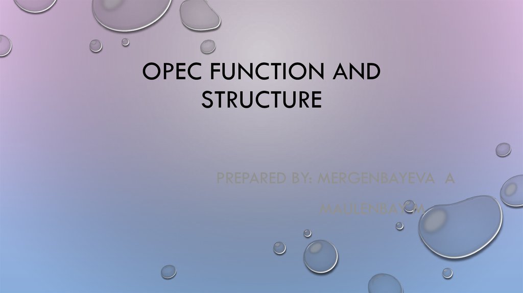 opec organizational structure