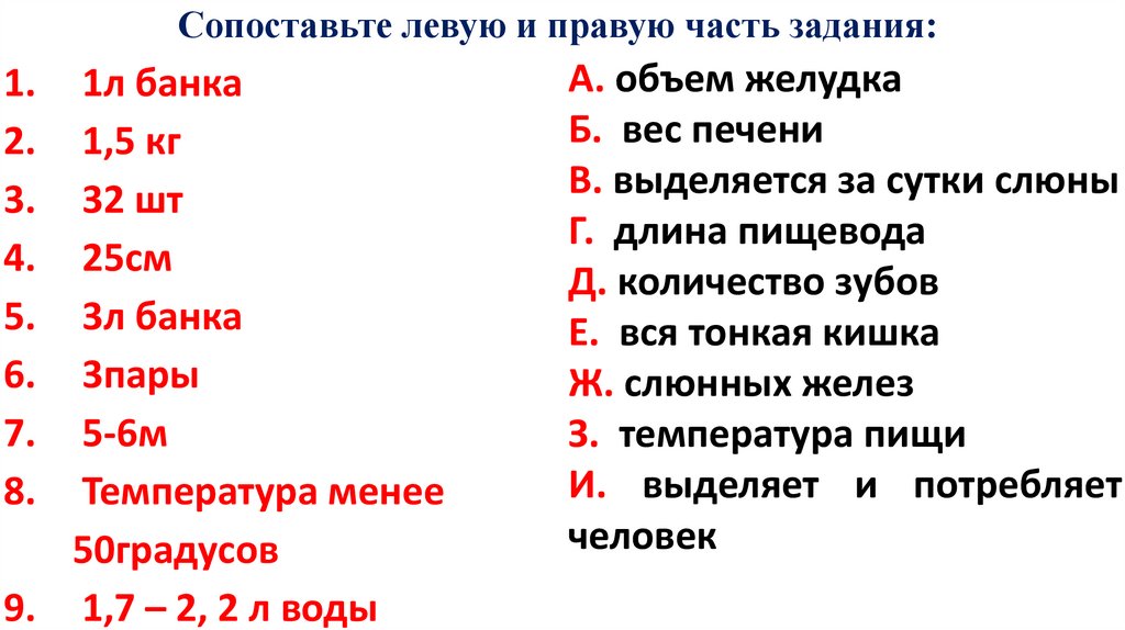 Слюна за сутки. Вместительность желудка человека в кг.