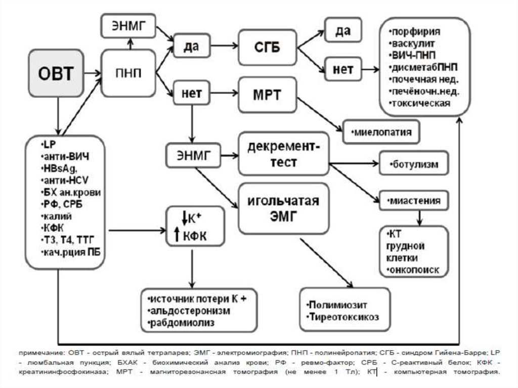 Синдром гийена барре презентация