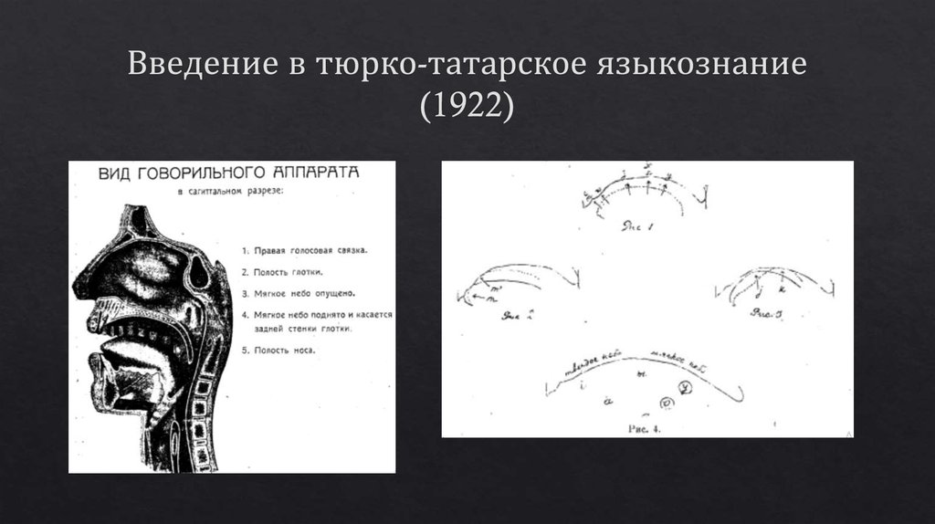 В а богородицкий презентация