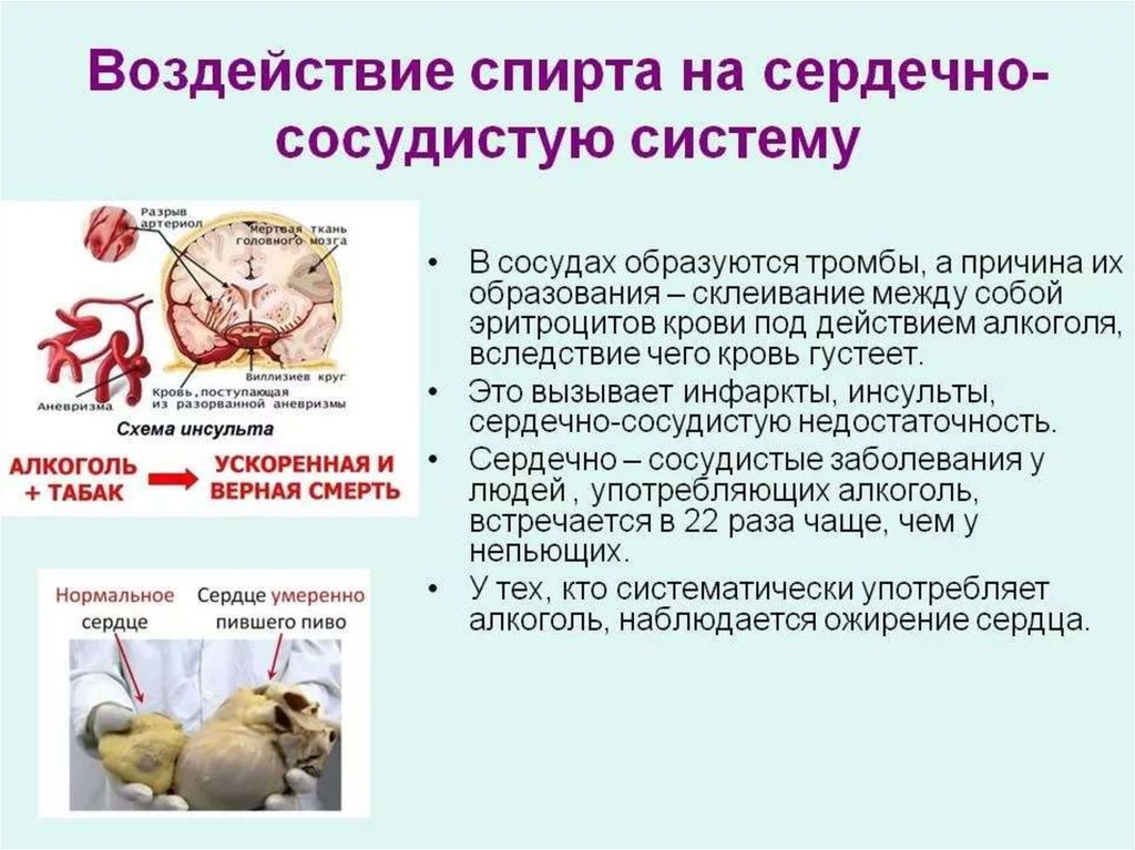 Сосудистые влияния. Влияние спирта этилового на сердечно-сосудистую систему. Влияние алкоголя на сердечно-сосудистую систему кратко. Влияние алкоголя на се. Влияние алкоголя на сердце и кровеносные сосуды.