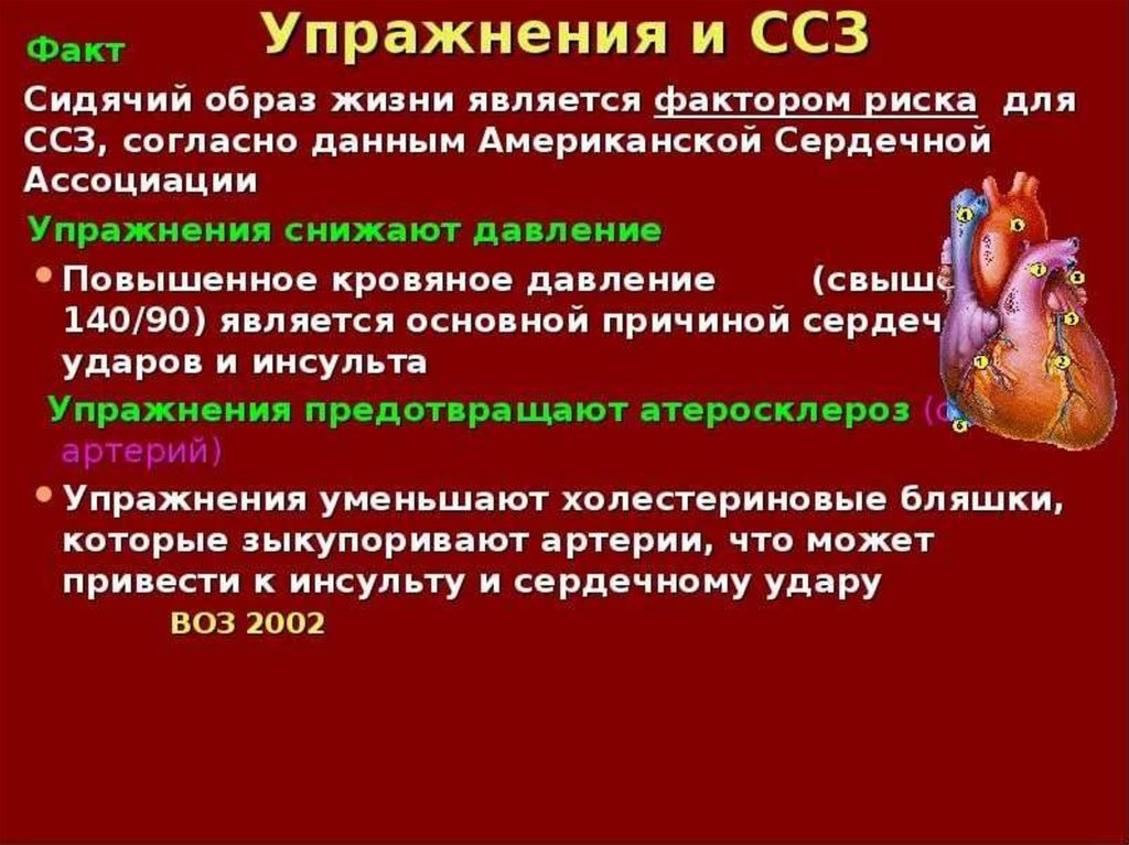 Сердечно сосудистые болезни. Факты о сердечно сосудистых заболеваниях. Факторы риска при сердечно-сосудистых заболеваниях. Фактором риска сердечно-сосудистых заболеваний является. Развития сердечно-сосудистых заболеваний.