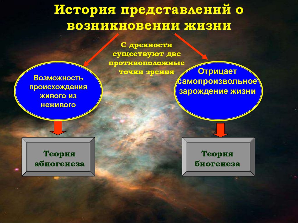 История представлений о возникновении жизни. Зарождение жизни из неживого. Теория происхождения живого из неживого. Современная концепция абиогенеза.