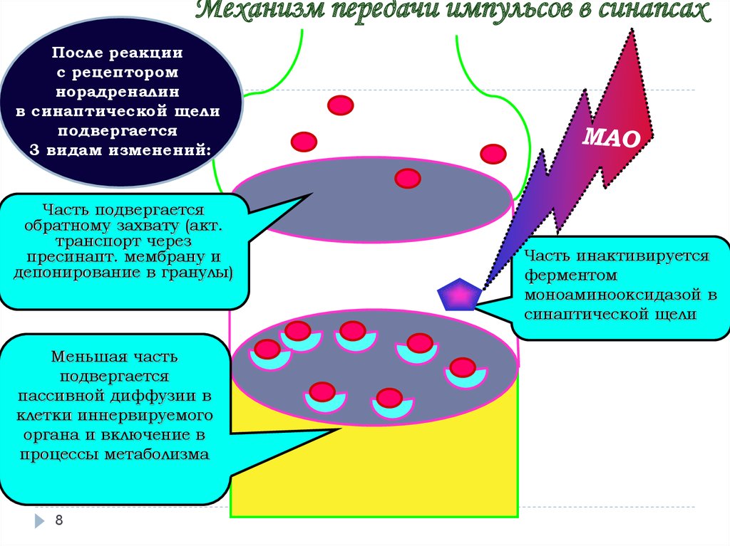 Передача импульса в синапсе