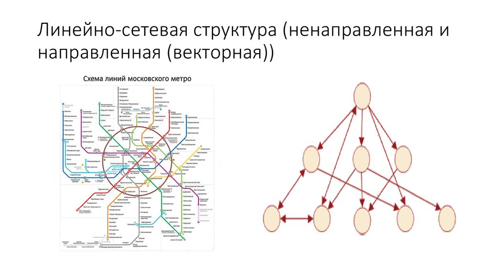 Сетевые организации управления. Сетевая структура. Сетевая структура схема. Сетевая структура управления. Сетевая структура организации.