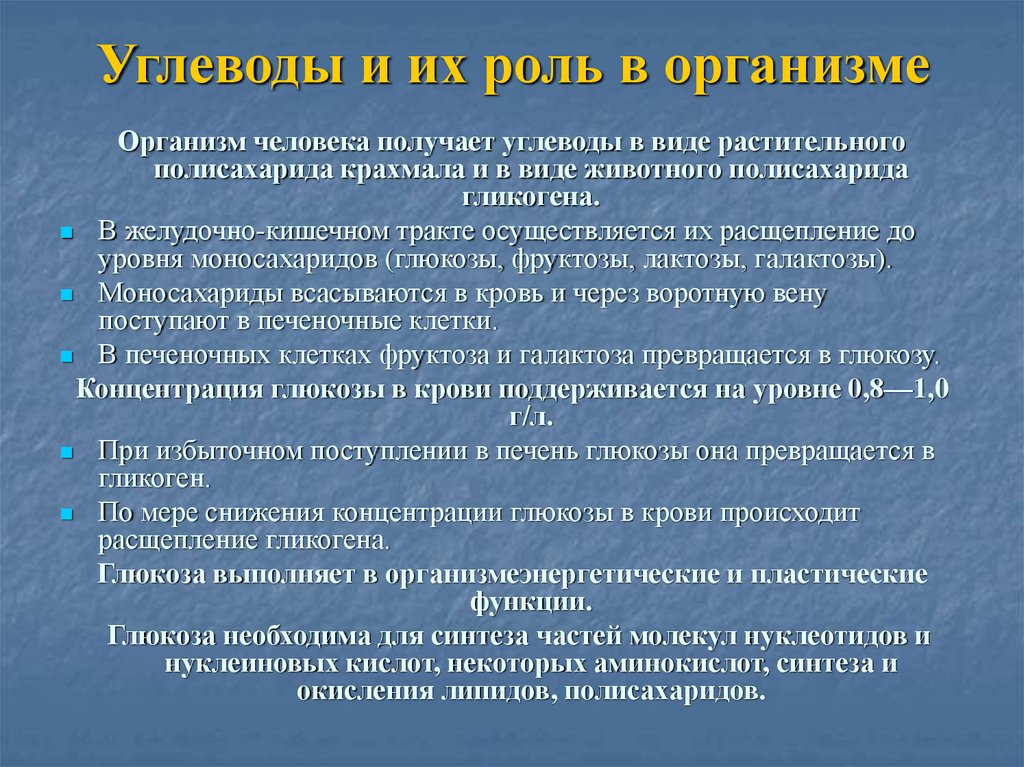 Углеводы в организме человека. Углеводы их роль в организме. Роль углеводов в организме человека. Запасы углеводов в организме человека. Цель углеводов в организме.